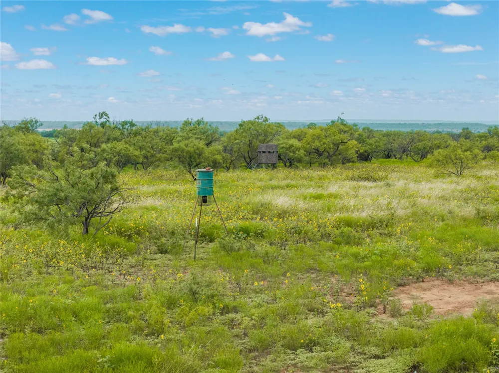 1050 County Road 258 Santa Anna, TX 76878