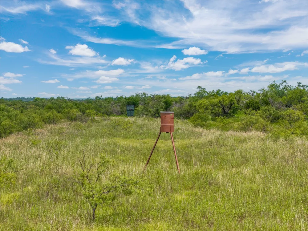 1050 County Road 258 Santa Anna, TX 76878