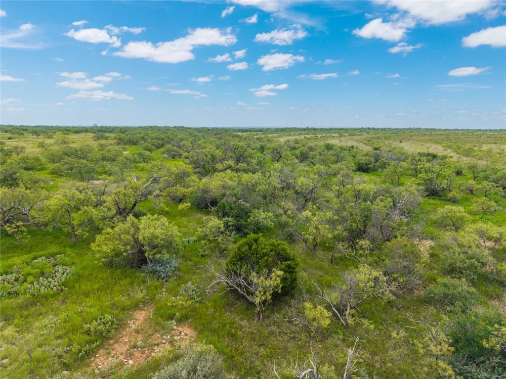 1050 County Road 258 Santa Anna, TX 76878