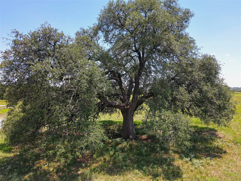 3976 Fm 1477 Comanche, TX 76442