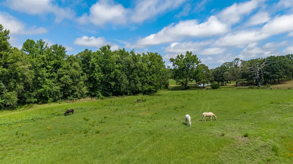 15753 COUNTY ROAD 223 Tyler, TX 75707