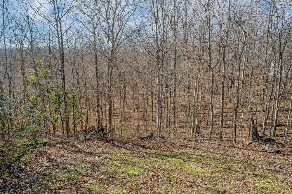 94 Cummins Ct Celina, TN 38551