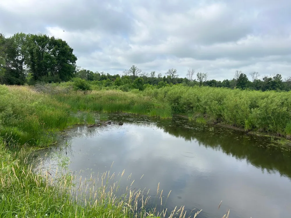 TBD US Hwy 12 Woodville, WI 54028