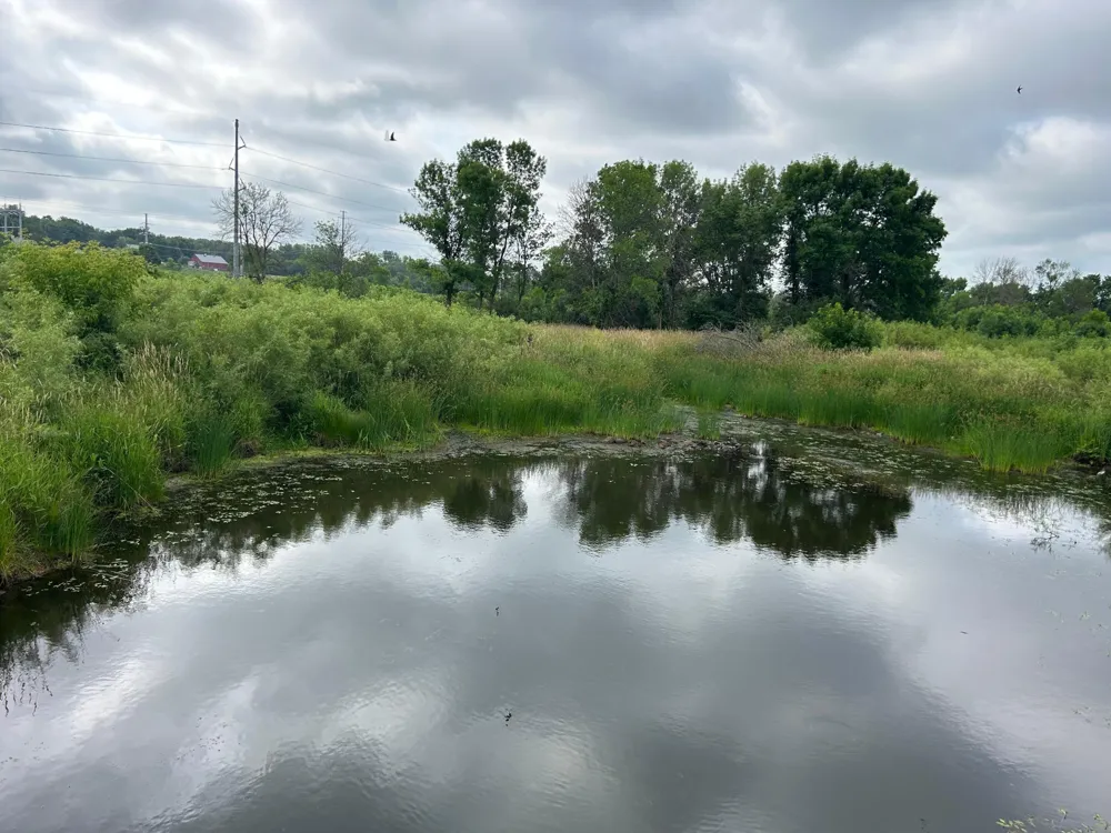 TBD US Hwy 12 Woodville, WI 54028