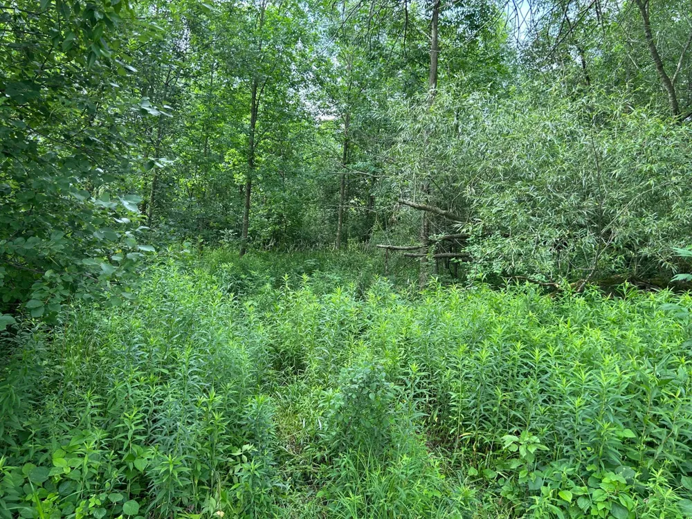 TBD US Hwy 12 Woodville, WI 54028