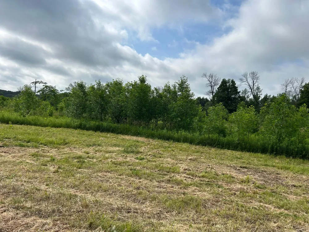 TBD US Hwy 12 Woodville, WI 54028