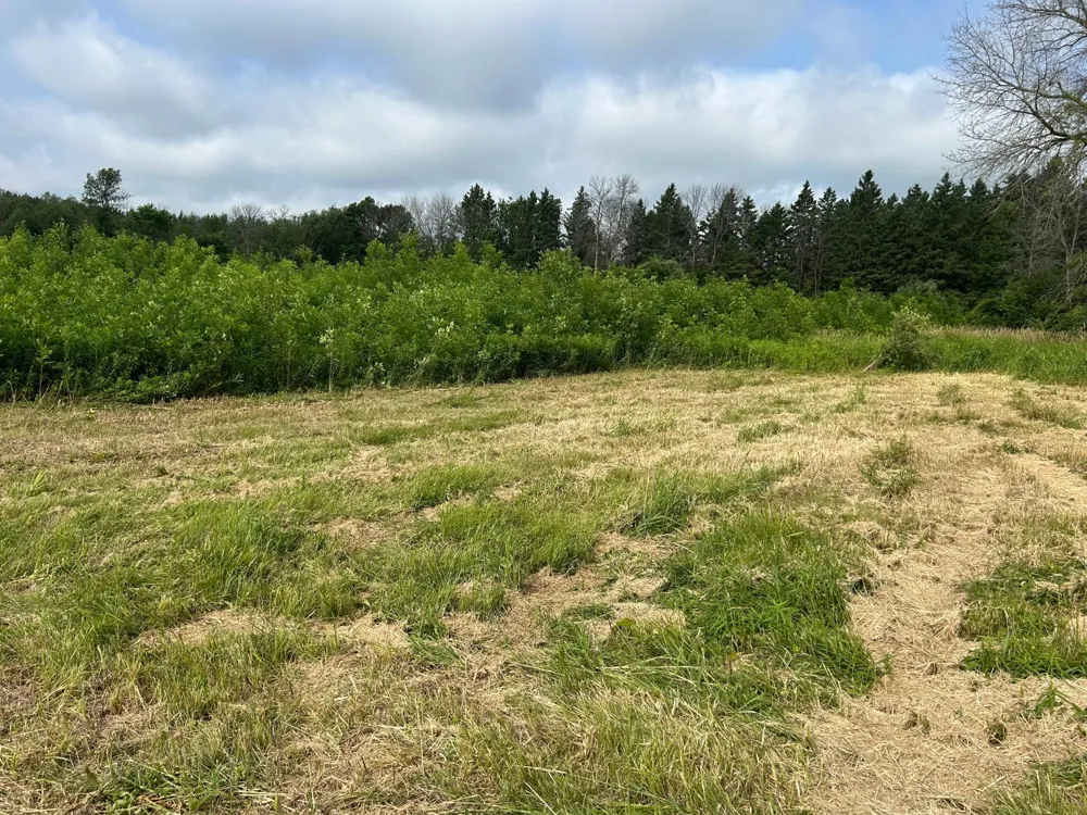 TBD US Hwy 12 Woodville, WI 54028