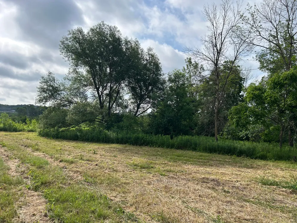 TBD US Hwy 12 Woodville, WI 54028