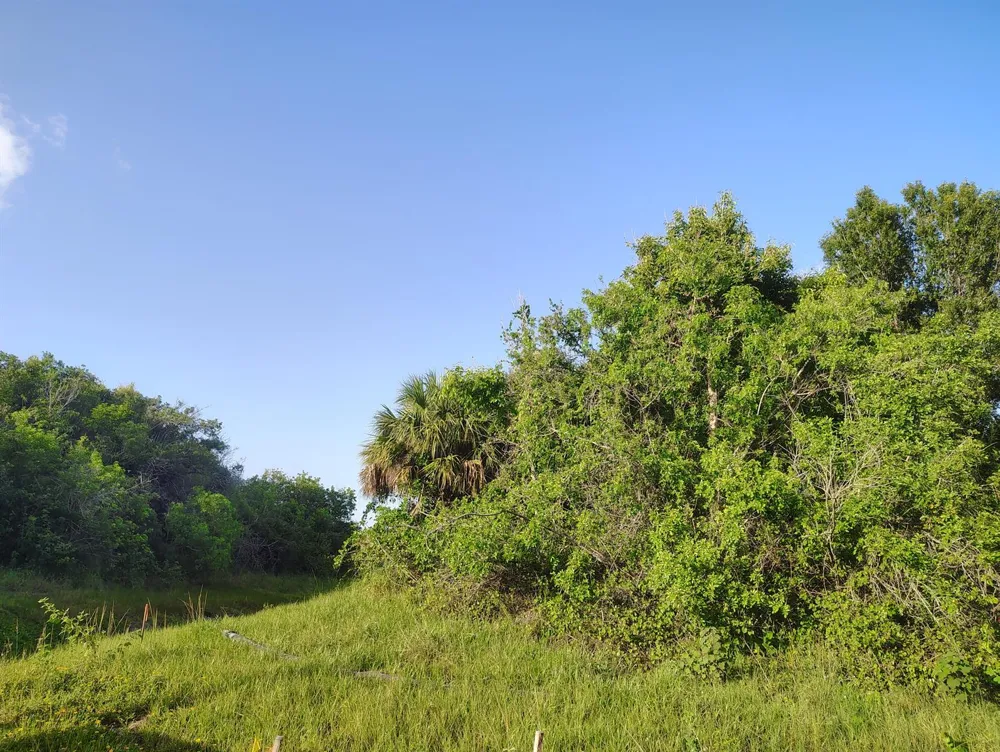 3921 SW Port Saint Lucie Boulevard Port St. Lucie, FL 34953