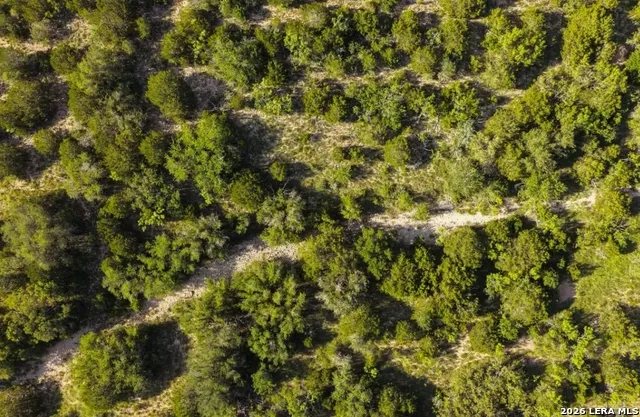 6824 SD 28570 Rocksprings, TX 78880