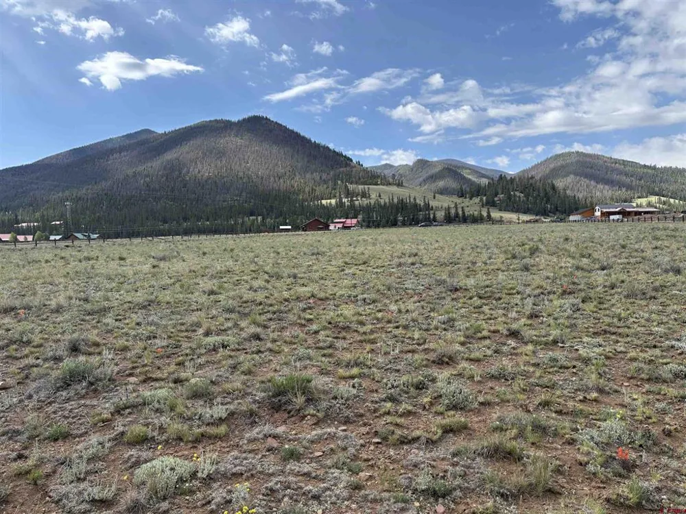 1350 Helen Lane Creede, CO 81130
