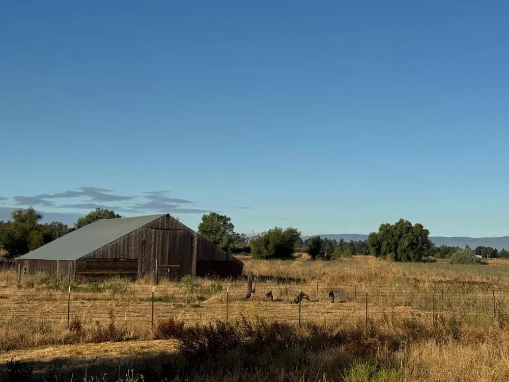 21000 County Road 95 Woodland, CA 95695