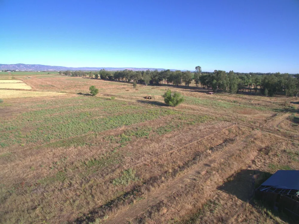 21000 County Road 95 Woodland, CA 95695