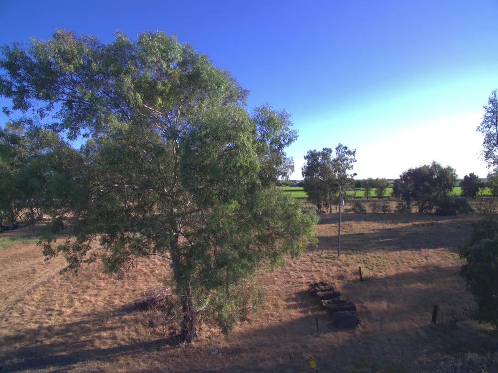 21000 County Road 95 Woodland, CA 95695