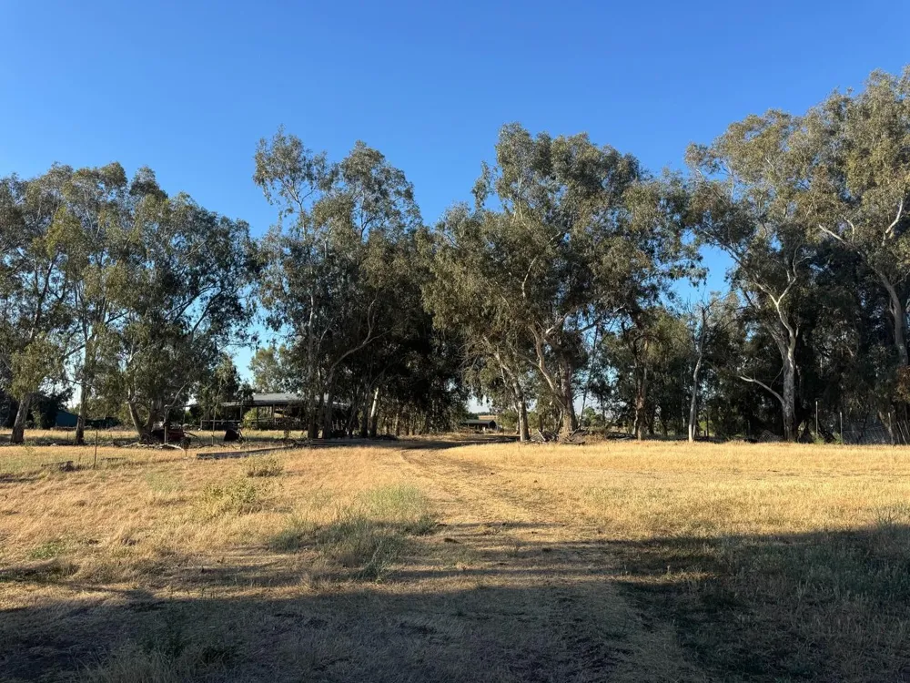 21000 County Road 95 Woodland, CA 95695