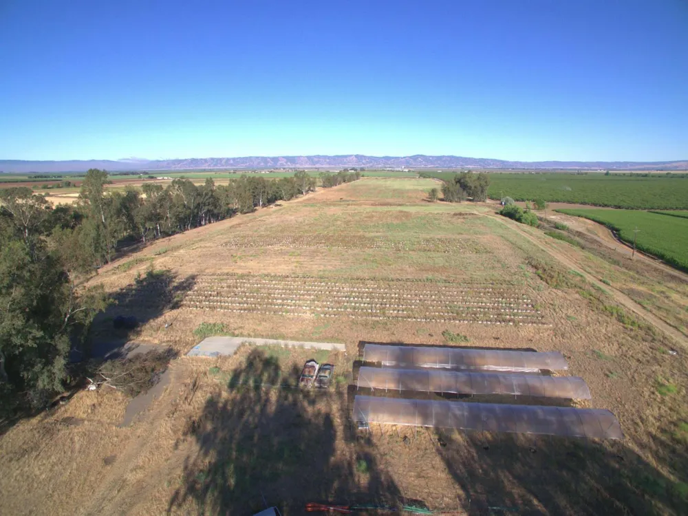21000 County Road 95 Woodland, CA 95695
