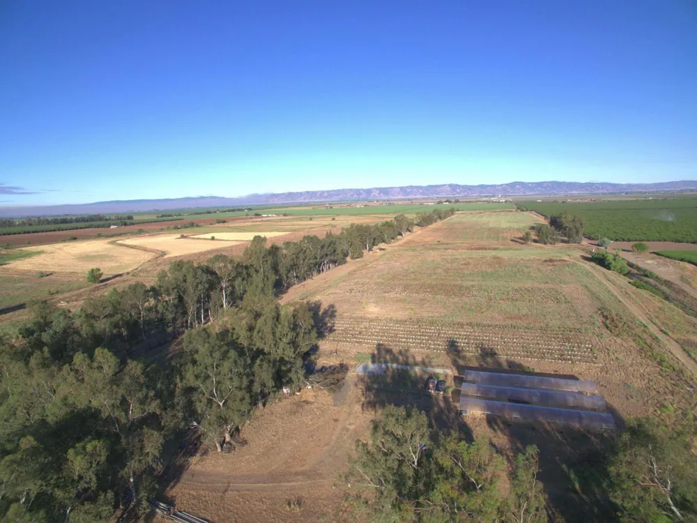 21000 County Road 95 Woodland, CA 95695