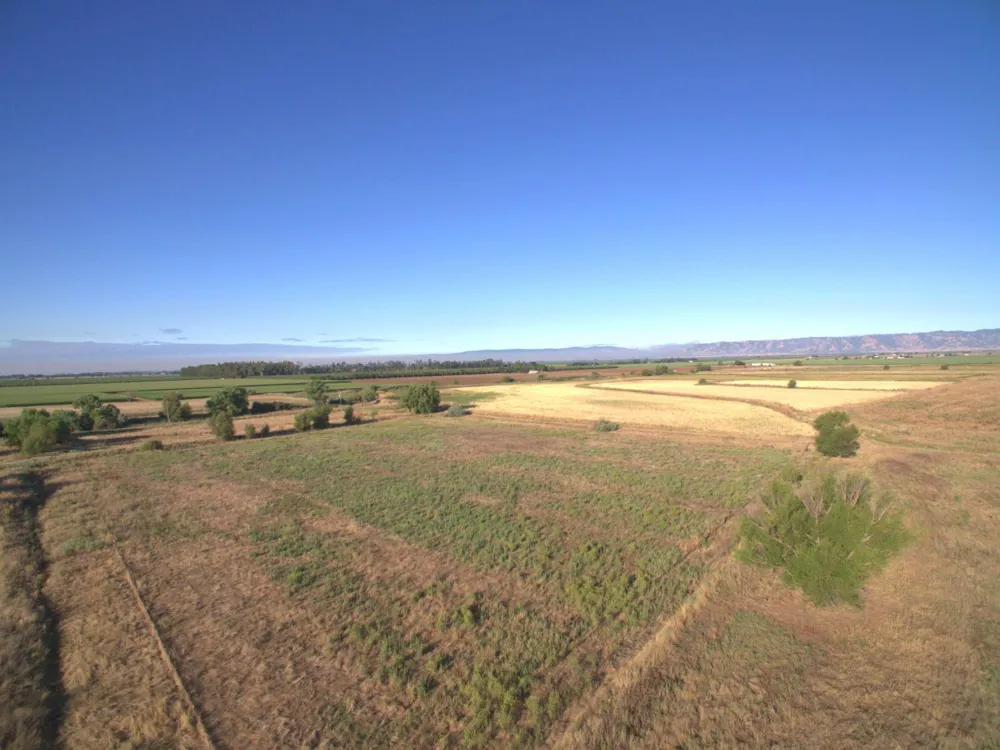 21000 County Road 95 Woodland, CA 95695