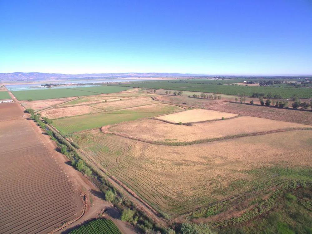 21000 County Road 95 Woodland, CA 95695
