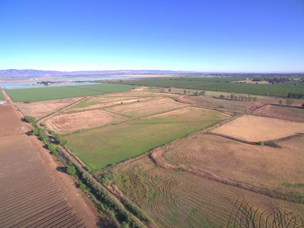 21000 County Road 95 Woodland, CA 95695