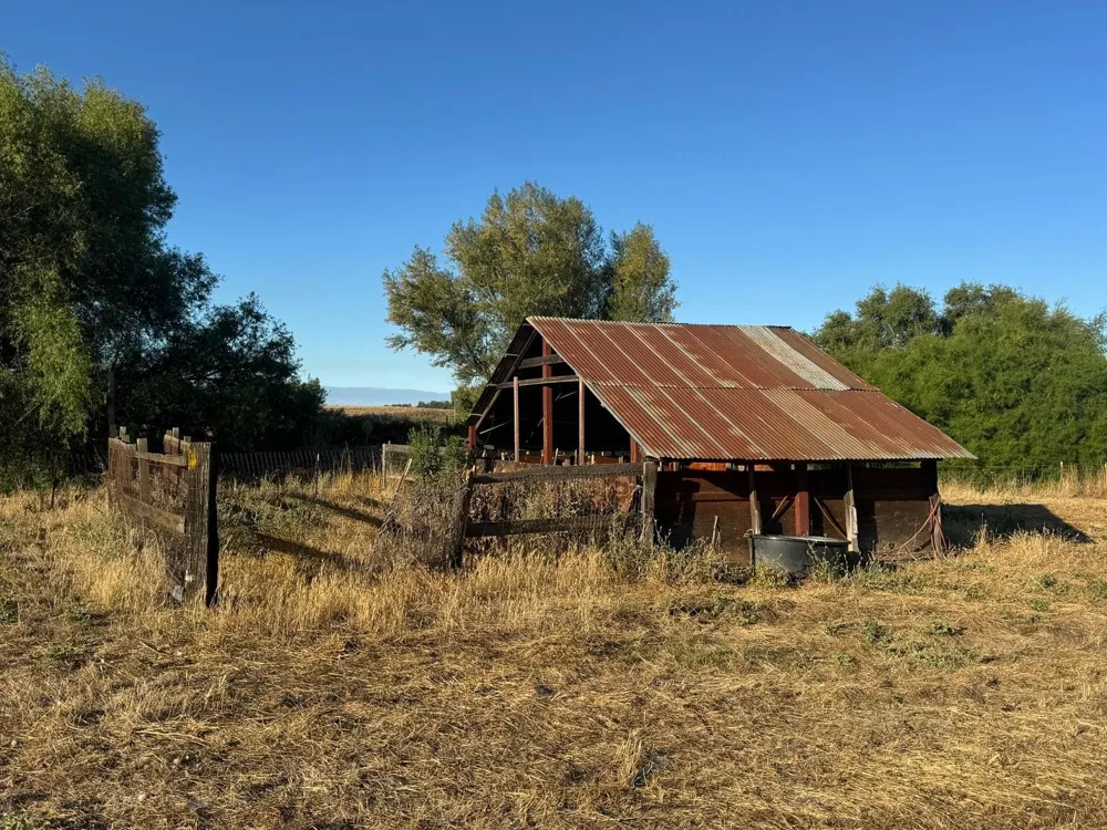 21000 County Road 95 Woodland, CA 95695