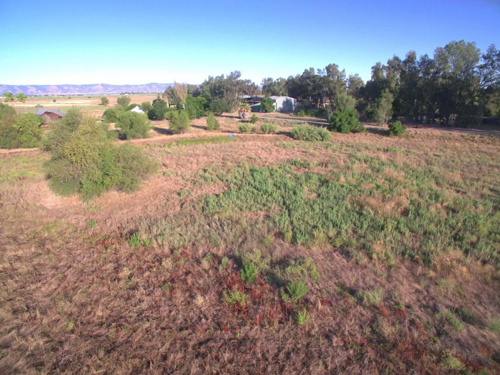 21000 County Road 95 Woodland, CA 95695