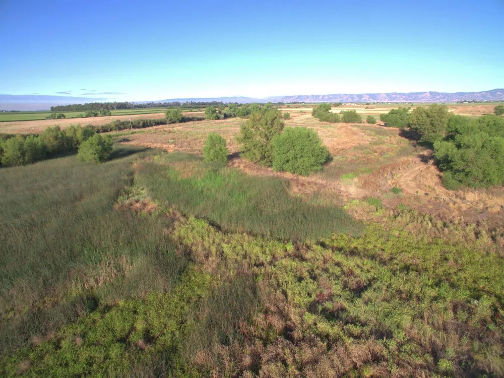 21000 County Road 95 Woodland, CA 95695