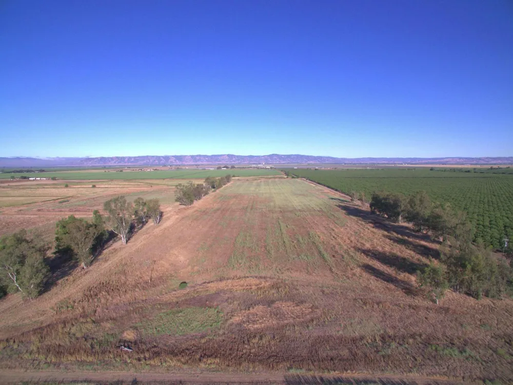21000 County Road 95 Woodland, CA 95695