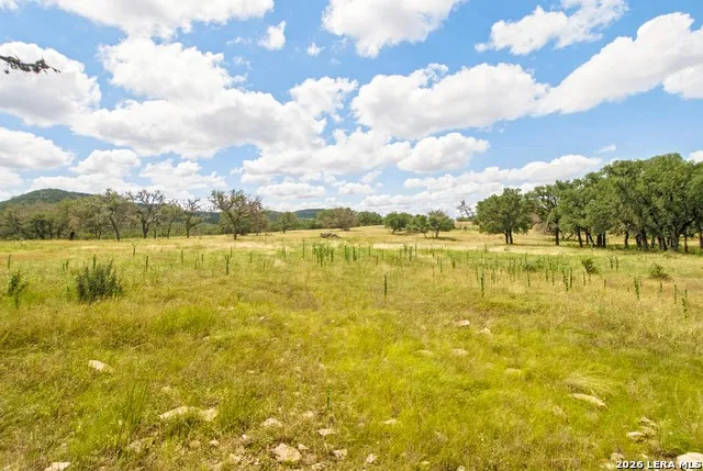 18954 STATE HIGHWAY 16 N Medina, TX 78055
