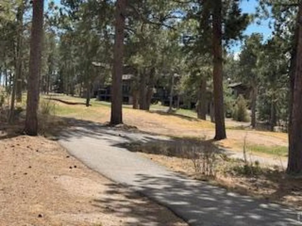 2215 Fox Acres Drive E Red Feather Lakes, CO 80545
