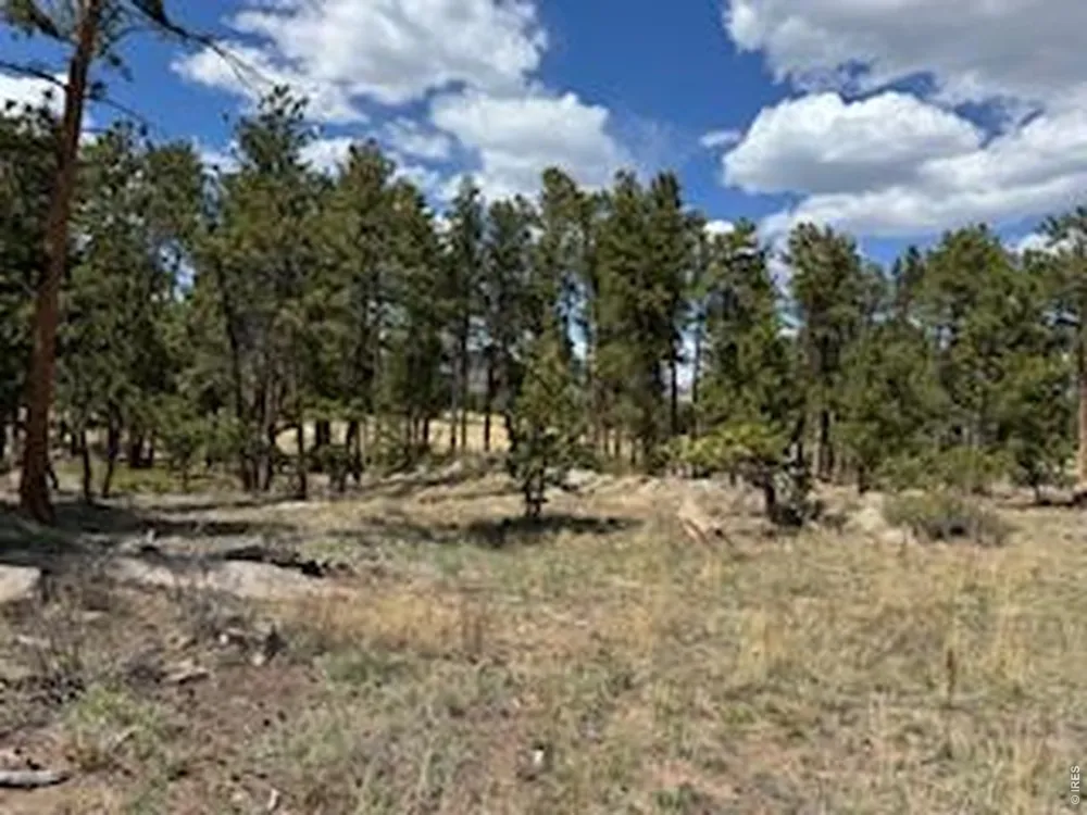 2215 Fox Acres Drive E Red Feather Lakes, CO 80545