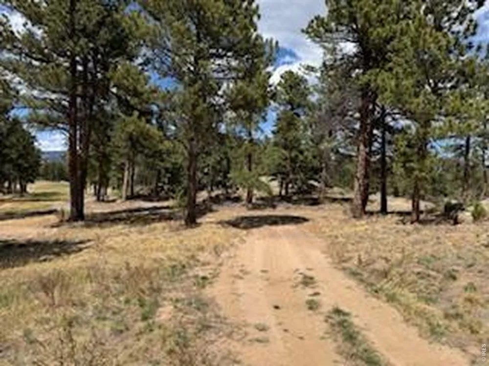 2215 Fox Acres Drive E Red Feather Lakes, CO 80545