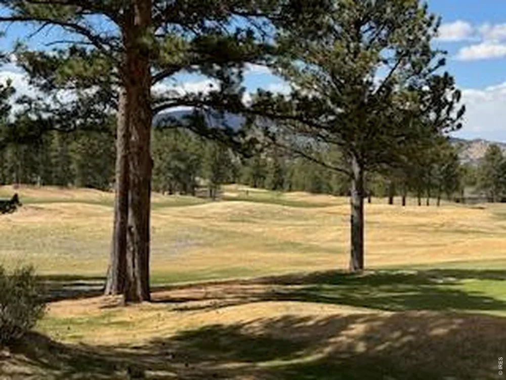 2215 Fox Acres Drive E Red Feather Lakes, CO 80545