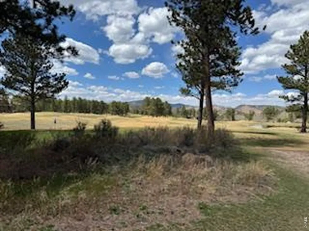 2215 Fox Acres Drive E Red Feather Lakes, CO 80545