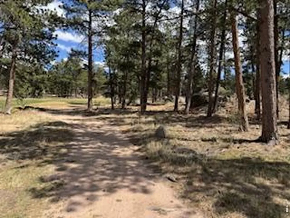 2215 Fox Acres Drive E Red Feather Lakes, CO 80545