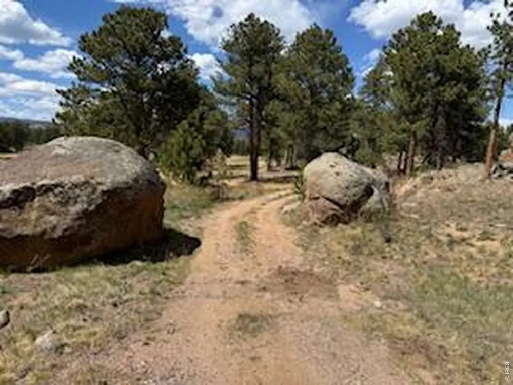 2215 Fox Acres Drive E Red Feather Lakes, CO 80545