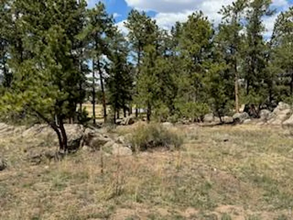 2215 Fox Acres Drive E Red Feather Lakes, CO 80545