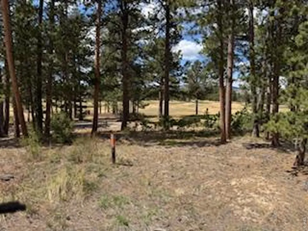 2215 Fox Acres Drive E Red Feather Lakes, CO 80545