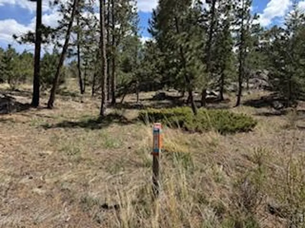 2215 Fox Acres Drive E Red Feather Lakes, CO 80545