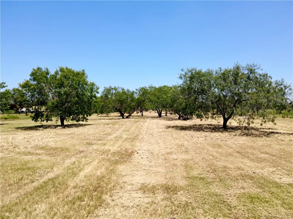 9 Nakishwana Cir Sandia, TX 78383