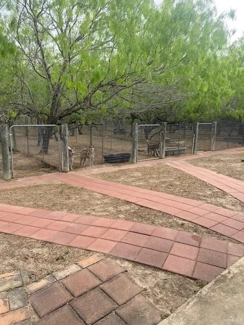 0 Ted Garza Road San Manuel, TX 78541
