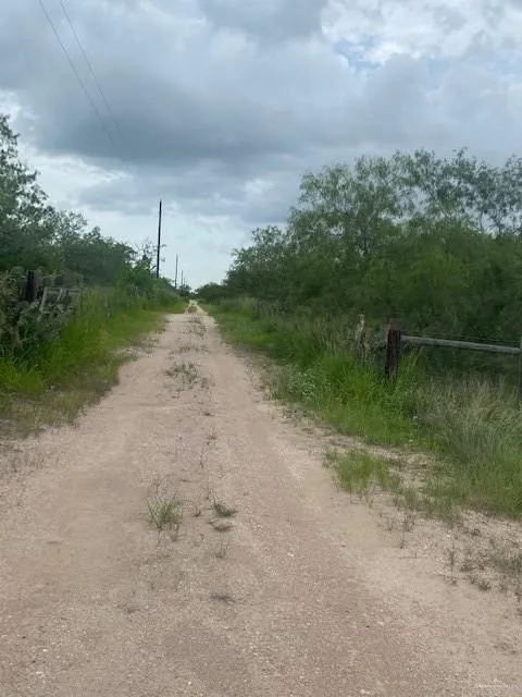 0 Ted Garza Road San Manuel, TX 78541