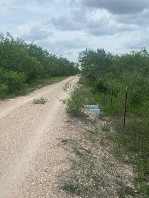 0 Ted Garza Road San Manuel, TX 78541
