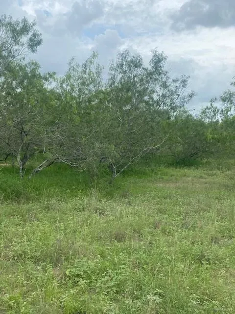 0 Ted Garza Road San Manuel, TX 78541
