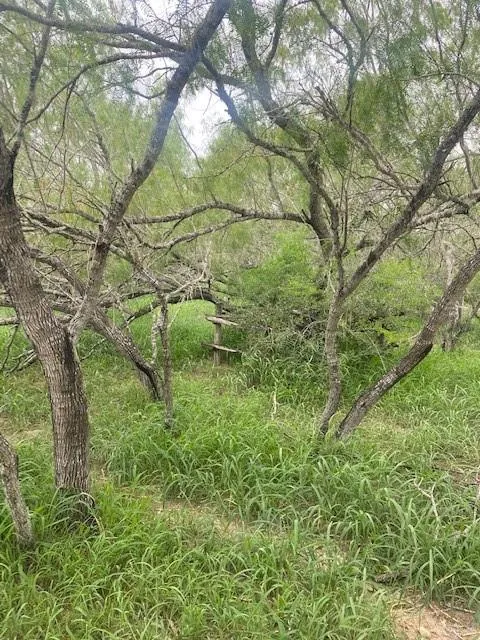 0 Ted Garza Road San Manuel, TX 78541