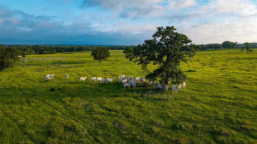 Hofferek Road Rosanky, TX 78953