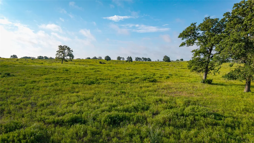 Hofferek Road Rosanky, TX 78953