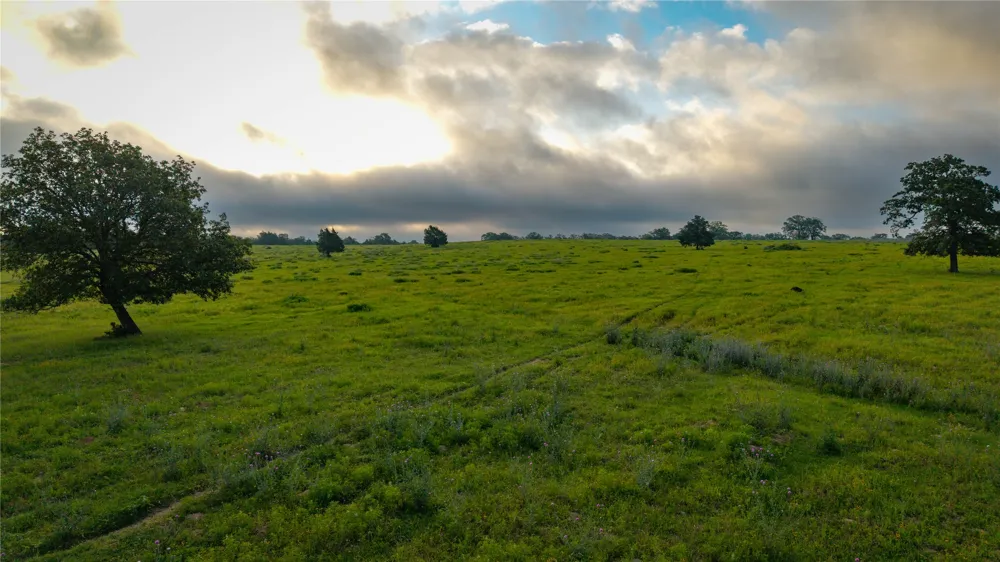 Hofferek Road Rosanky, TX 78953