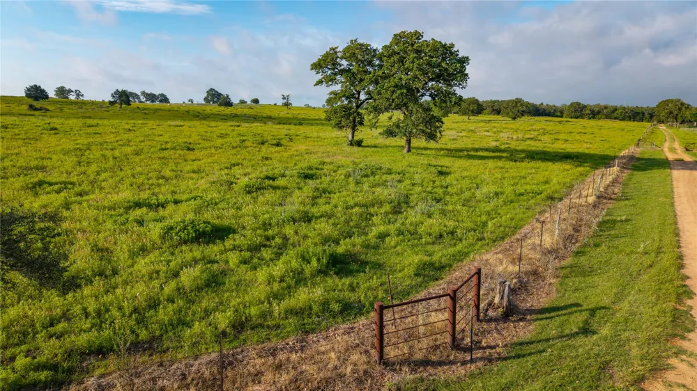 Hofferek Road Rosanky, TX 78953