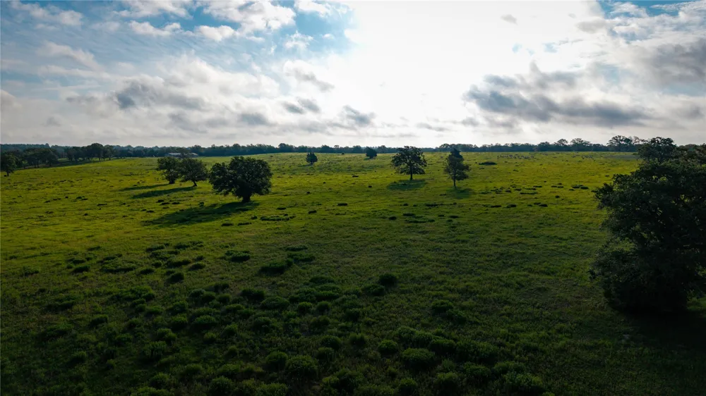 Hofferek Road Rosanky, TX 78953